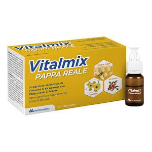 VITALMIX PAPPA REALE 10FL